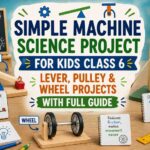 simple machine science project for kids